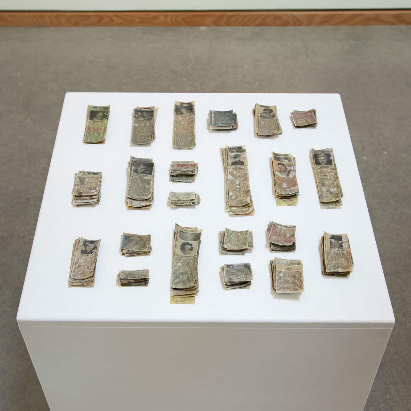 Erika DeFreitas at Angell Gallery